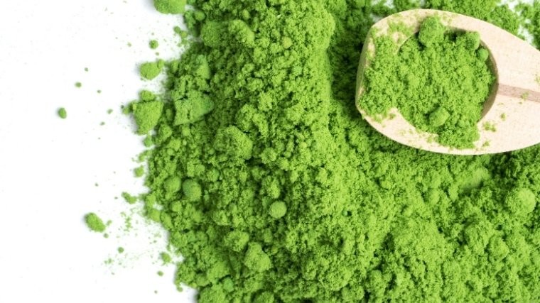 Best Kratom Vendors 